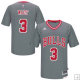 Dwyane Wade, Chicago Bulls [Gray Pride]