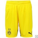 Short Borussia Dortmund 2015/16 - Third