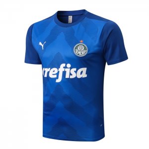 Camiseta Entrenamiento Palmeiras 2022/23