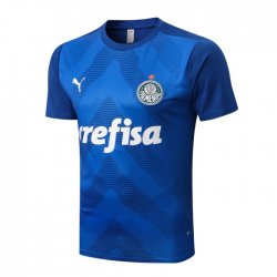 Maillot Palmeiras Training 2022/23