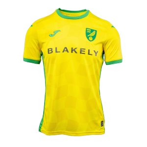 Maillot Norwich City Domicile 2024/25