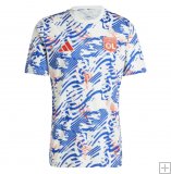 Camiseta Pre-partido Olympique Lyon 2024/25