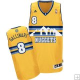 Danilo Gallinari, Denver Nuggets [jaune]