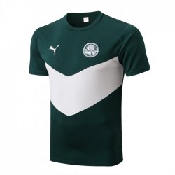 Maillot Palmeiras Training 2022/23